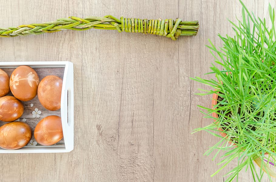 pis, laïc, fotografia, ous, verd, planta, superior, taula, branques, colors, ous de Pasqua, flors, herba, blanc, fusta, menjar, menjar i beguda, frescor, alimentació saludable, benestar, material de fusta, color verd, vegetals, cap gent, vista d’angle alt, a l'interior, natura morta, directament a sobre, naturalesa, aliments crus, orgànic, agricultura, berenar, 5K