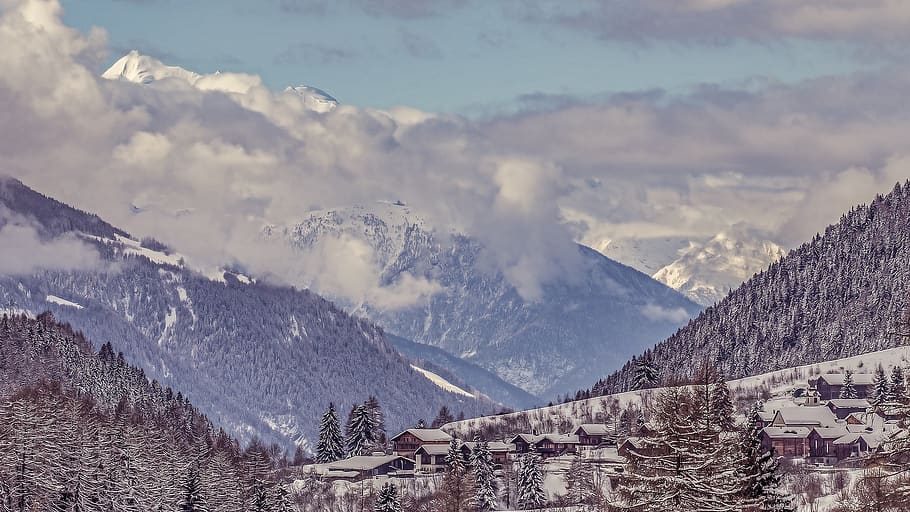 muntanyes, blanc, núvols, alpí, Alps, fred, fiesch, boira, cases, paisatge, muntanya, naturalesa, cel, neu, cim, suïssa, arbres, hivern, temperatura de fred, bellesa a la natura, Serra, escenics - natura, medi ambient, escena tranquil·la, arbre, núvol - cel, dia, escena no urbana, cap gent, tranquil·litat, arquitectura, muntanya nevada, a l'aire lliure, cim de muntanya, 1080P