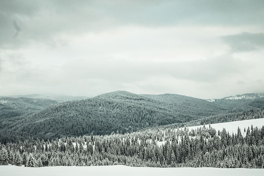 Berg, bedeckt, Schnee, Schwarz und weiß, Wolken, wolkig, kalt, Tageslicht, tagsüber, Umgebung, Wald, zing, Frost, eisig, frostiges Wetter, gefroren, hoch, Eis, Landschaft, Gipfel, Berge, Natur, Szene, szenisch, Jahreszeit, Himmel, schneebedeckt, schneebedeckte Berge, Bäume, Wetter, Winter, Winterlandschaft, Schönheit in der Natur, Szenen - Natur, ruhige Szene, Baum, Ruhe, wolke - himmel, Pflanze, kalte Temperatur, Nicht-städtische Szene, Land, Tag, keine Leute, Kiefer, draußen, Nadelbaum, schneebedeckter Berg, 5K