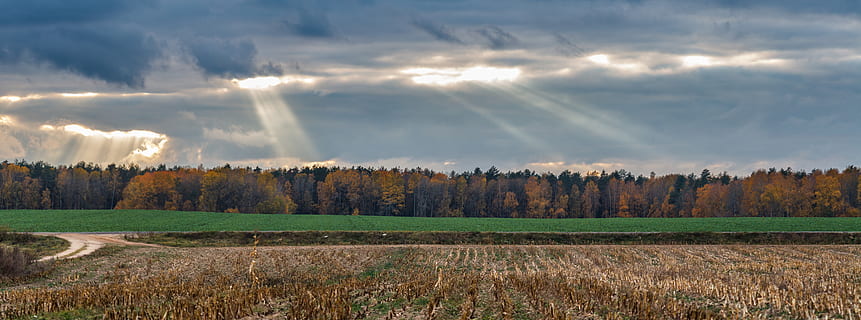 Himmel, Feld, Landschaft, Wolken, Natur, Wiese, Bäume, im Sommer von, Panorama, weit weg, Sonnenuntergang, Stimmung, Horizont, Wolke, Gras, Dunst, wolke - himmel, Umgebung, Szenen - Natur, Pflanze, Baum, Schönheit in der Natur, Land, Ruhe, ruhige Szene, ländliche Szene, keine Leute, Wachstum, Landwirtschaft, Nicht-städtische Szene, Tag, draußen, 8K, CC0, gemeinfrei, lizenzfrei