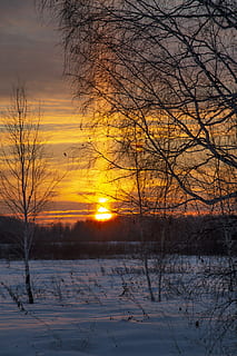 posta de sol, hivern, sol, arbres, bosc, neu, tarda, crepuscle, naturalesa, cel, pal de llum, temperatura de fred, arbre, arbre nu, bellesa a la natura, escenics - natura, planta, tranquil·litat, escena tranquil·la, color taronja, cap gent, terra, medi ambient, cobertura, camp, a l'aire lliure, 4K, CC0, domini públic, lliure de regalies