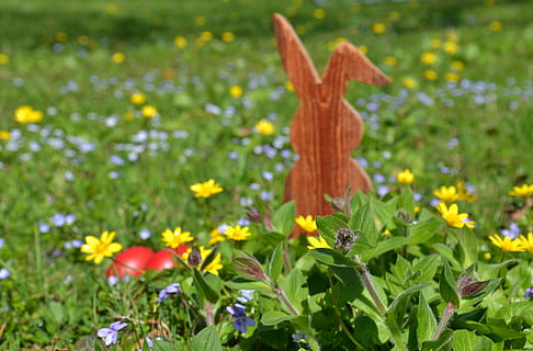 easter, hare, easter bunny, spring, grass, nature, egg, easter theme, easter eggs, wild flowers, wild flower meadow, wood rabbit, red, yellow, green, bloom, old wood, colorful, rabbit ears, plant, flower, flowering plant, no people, freshness, land, beauty in nature, green color, field, day, growth, springtime, outdoors, representation, close-up, fragility, leaf, flower head, 4K, CC0, public domain, royalty free