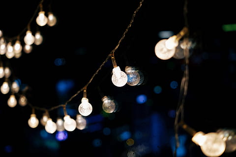 luci stringa accese, illuminato, notte, sospeso, attrezzatura per l'illuminazione, messa a fuoco selettiva, avvicinamento, nessuno, concentrarsi sulle conoscenze acquisite, decorazione, lampadina, stringa, pianta, Inquadratura dal basso, in casa, natura, vacanza, albero, fauna selvatica, elettricità, 5K, CC0, dominio pubblico, privo di copyright