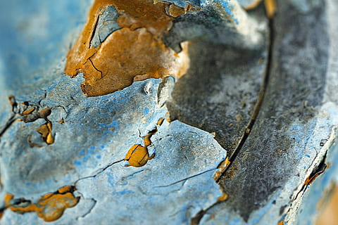 Feuerhydrant, Rost, verrostet, rosten, abgebrochene Farbe, Gelb, puderblau, Hintergrund, Tapete, Textur, keine Leute, Nahansicht, Natur, texturiert, selektiver Fokus, Tag, geknackt, Holz - Material, draußen, Ablehnen, Hintergründe, Vollbild, Pflanzenteil, Baum, Blatt, solide, Rock, Verschlechterung, beschädigt, trocken, 5K, CC0, gemeinfrei, lizenzfrei