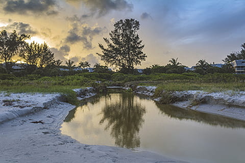strand, visszaverődés, gondolatok, természet, fák, napnyugta, óceán, naplemente, felhők, higgadtság, Békés, víz, fa, fű, Florida, nap, napfény, nyugodt, nyugodt víz, ég, felhő - ég, növény, nyugalom, nyugodt jelenet, festmények - természet, szépség a természetben, nem ember, nem városi színtéren, föld, környezet, tó, növekedés, szabadban, 5K, CC0, közkincs, jogdíjmentes