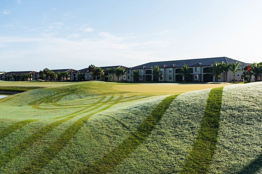 camp d’herba verda, camp, herba, a l'aire lliure, planta, curs de golf, florida, bonita springs, gespa, activitats, golf, tallar, fresc, aigua, humit, rosada, rosada del matí, sud de la florida, pastures, parc, estructura construïda, exterior de l'edifici, cel, arquitectura, naturalesa, color verd, llum solar, edifici, dia, casa, terra, cap gent, paisatge, barri residencial, núvol - cel, medi ambient, bellesa a la natura, 5K