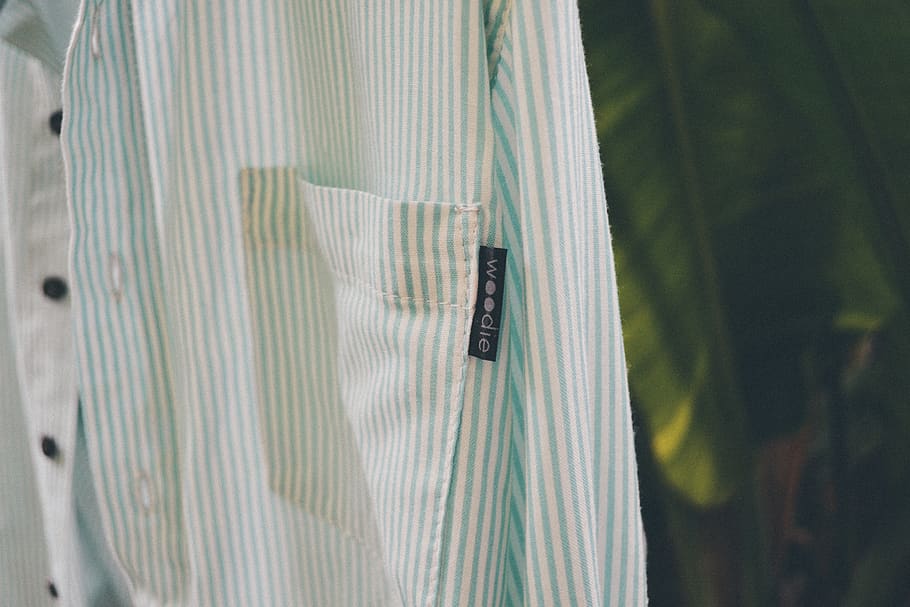 tessile, avvicinamento, nessuno, capi di abbigliamento, a strisce, concentrarsi sulle conoscenze acquisite, in casa, Colore bianco, camicia button down, tenda, giorno, sfondi, modello, colore verde, natura, fotogramma intero, sospeso, animale, temi animali, 4K
