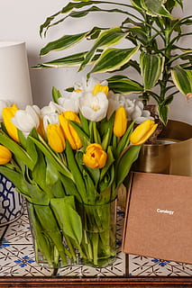 curology, fiore, pianta fiorita, freschezza, pianta, vulnerabilità, fragilità, tulipano, bellezza nella natura, contenitore, vaso, colore verde, in casa, decorazione, natura, testa di fiore, nessuno, infiorescenza, preparativi, Pasqua, avvicinamento, composizione floreale, mazzo, 4K, CC0, dominio pubblico, privo di copyright