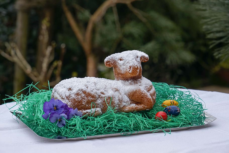 Pesach, dort, smažené, pekařství, symbol, velikonoční, upéct, jídlo, sladké jídlo, zastoupení, oslava, sladký, jídlo a pití, zastoupení zvířat, dezert, nikdo, zaměřit se na popředí, detail, Dovolená, umění a řemesla, stálý život, rostlina, dekorace, pokušení, 5K