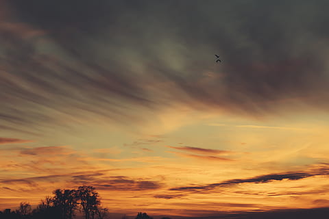 auringonlasku, hämärä, taivas, pilviä, lintuja, pilvi - taivas, kauneus luonnossa, maisemat - luonto, matala kulma, lentäminen, luonto, siluetti, tyyneys, oranssi väri, ei ihmisiä, rauhallinen kohtaus, idyllinen, ulkona, lintu, dramaattinen taivas, ilma-alus, puu, lentokone, 5K, CC0, public domain, rojaltivapaa