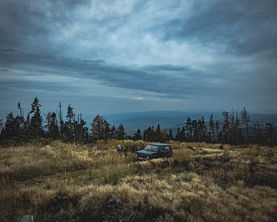 negre, jeep wrangler, envoltat, arbust, núvols, la llum del dia, medi ambient, bosc, herba, pastures, paisatge, naturalesa, parc, camí, escènic, cel, arbres, vehicle, boscos, núvol - cel, planta, arbre, manera de transport, transport, cap gent, terra, bellesa a la natura, escenics - natura, camp, dia, vehicle terrestre, escena no urbana, escena tranquil·la, automòbil, a l'aire lliure, 4K, CC0, domini públic, lliure de regalies