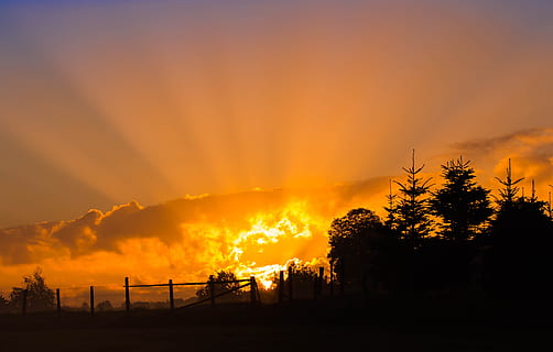 Silhouette Fotografie, Baum, Sonnenuntergang, Wolken, Dämmerung, Abend, Zaun, Wald, goldene Stunde, Landschaft, Licht, Morgensonne, Natur, Strahlen, szenisch, Himmel, Sommer-, Sonne, Sonnenstrahl, Sonnenaufgang, Bäume, Silhouette, Schönheit in der Natur, Umgebung, Pflanze, Szenen - Natur, Ruhe, keine Leute, ruhige Szene, wolke - himmel, orange Farbe, Verbrennung, Feuer, Nicht-städtische Szene, Feuer - natürliches Phänomen, Land, draußen, 4K, CC0, gemeinfrei, lizenzfrei
