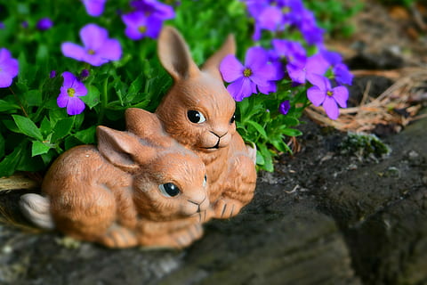 Pasqua, conill de Pasqua, figura, conill, targeta de felicitació, dolç, salutació de pasqua, animal, temes d'animals, mamífer, vertebrats, planta, naturalesa, enfocament selectiu, cap gent, primer pla, flor, vulnerabilitat, planta amb flors, fragilitat, un animal, dia, fauna animal, terra, bellesa a la natura, camp, 4K, CC0, domini públic, lliure de regalies