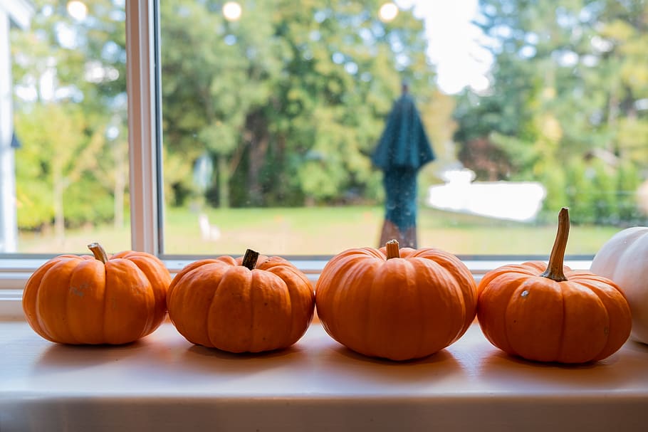 græskar, mad og drikke, mad, grøntsag, fokus på forgrunden, orange farve, velvære, dag, halloween, sund kost, fest, plante, efterår, natur, ingen mennesker, bord, udendørs, friskhed, ferie - begivenhed, jack o 'lantern, 5K
