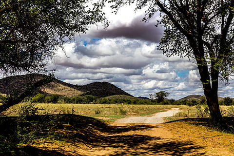 namibia, nuvola - cielo, albero, cielo, pianta, scena tranquilla, la tranquillità, bellezza nella natura, scenics - natura, natura, paesaggio, ambiente, montagna, scena non urbana, nessuno, giorno, terra, crescita, idilliaco, erba, luce del sole, 5K, CC0, dominio pubblico, privo di copyright