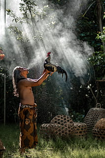 om, ridicare, cocoş, suflare, fum, timpul zilei, în aer liber, femei, oameni, natură, pădure, foc - fenomen natural, copac, vară, adult, bărbați, fumul - structura fizică, distracţie, temperatura - temperatură, stiluri de viață, culturi, 5K, CC0, domeniu public, fără drepturi de autor