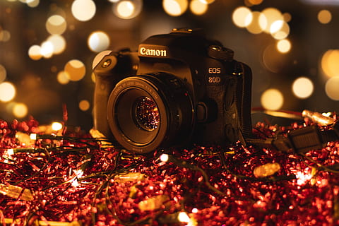 kamera, elektronik, cahaya, malam, kamera digital, lensa, gelap, lampu, refleksi, mengaburkan, dslr, hari Natal, refleksi bokeh, eos 80d, canon eos 80d, kanon, merah, bokeh, penerangan, menanam, tema fotografi, kamera - peralatan fotografi, peralatan fotografi, fokus selektif, teknologi, merapatkan, tidak ada orang, diterangi, dalam ruangan, lensa - alat optik, dekorasi, liburan, masih hidup, makanan dan minuman, perayaan, fokus pada latar depan, 5K, CC0, domain publik, bebas royalti