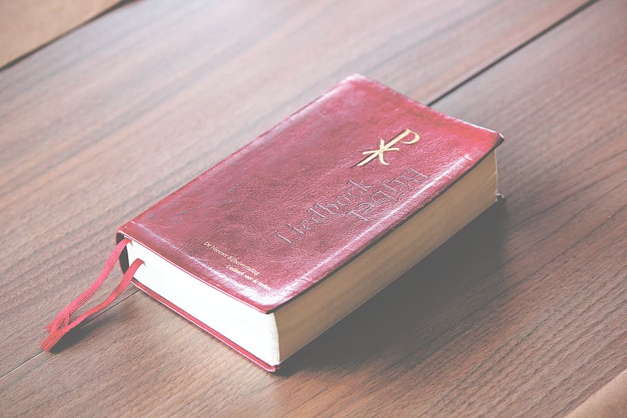 primer pla, bíblia, prestatgeria, coberta, dades, document, educació, coneixement, literatura, pàgines, religiós, recerca, retro, espiritualitat, estudiar, saviesa, fusta, taula, material de fusta, cap gent, vermell, a l'interior, natura morta, publicació, llibre, vista d’angle alt, centrar-se en primer pla, sol objecte, color rosa, forma, forma del cor, amor, mobles, gra de fusta, 5K