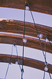 string lights, light bulbs, lights, low angle view, no people, lighting equipment, hanging, focus on foreground, day, nature, rope, sky, clear sky, close-up, outdoors, metal, wood - material, light bulb, wind chime, decoration, built structure, architecture, cable, ceiling, 5K, CC0, public domain, royalty free