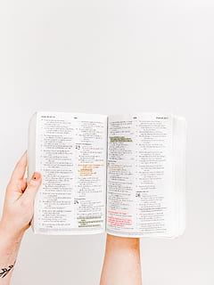 öffnete Bibel, Studioaufnahme, menschliches Körperteil, weißer Hintergrund, Veröffentlichung, halten, eine Person, drinnen, menschliche Hand, Buch, Hand, Papier-, lesen, Bildung, Körperteil, Text, Nahansicht, Aktivität, Kommunikation, nicht erkennbare Person, Finger, studieren, 4K, CC0, gemeinfrei, lizenzfrei