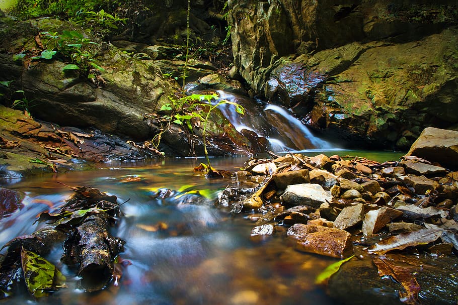 Ekvádor, pinas, vertiente, quebrada, rocas, naturaleza, riachuelo, vida, transparentencia, frescor, entorno, agua, voda, Skála, rock - objekt, pevný, tekoucí voda, les, scenics - příroda, krása v přírodě, nikdo, dlouhé expozice, Příroda, strom, pohyb, rostlina, tekoucí, den, přistát, klid, vodopád, proud - tekoucí voda, venku, čistota, mělký, deštný prales, 2K