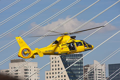 helicòpter groc, helicòpter, transport, vehicle, avions, Rotterdam, humà, persona, Països Baixos, erasmusbrug, pal d’utilitat, pont, urbà, ocell, animal, volant, edifici, ciutat, vol, aterratge, groc, cel, manera de transport, vehicle aeri, comunicació, arquitectura, naturalesa, blau, tecnologia, dia, signe, senyal d'advertència, moviment, a l'aire lliure, avió, cable, cap gent, 4K, CC0, domini públic, lliure de regalies