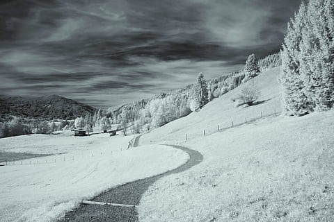 cinzento, dimensionado, foto, campo, neve, floresta, caminho, céu, Sombrio, nuvem, paisagem de inverno, explorar, tempestade de neve, estrada, viagem, contraste, skyline, período de férias, árvore, Alemanha, natureza, branco, Preto, infra vermelho, inverno, montanha, panorama, ao ar livre, frio - temperatura, scenics, alpes europeus, gelo, Colina, geada, temporada, beleza na natureza, ninguém, cena rural, azul, cena não urbana, Europa, nevando, congeladas, cena tranquila, nuvem - céu, Preto e branco, dolomites, 4K, CC0, domínio público, royalty free