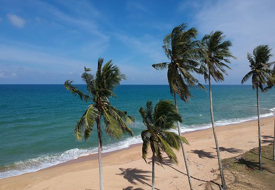 nuotrauka, kokoso medžiai, papludimys, horizonto, idiliškas, pobūdį, vandenynas, Oceanside, palmės, smėlis, vaizdingas, jūros, pajūrio, jūros pakrantėje, dangus, vasara, medžiai, atogrąžų, vanduo, žemės, tropinis klimatas, grožis gamtoje, vaizdai - gamta, palmė, horizontas virš vandens, ramioje scenoje, medis, ramybė, debesis - dangus, augalų, saulės šviesa, nėra žmonių, lauke, kokoso palmių, atogrąžų medis, 4K