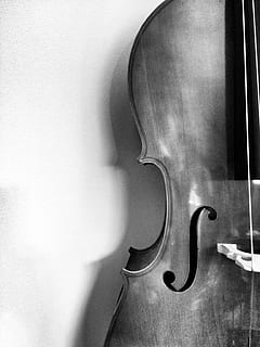 instruments musicals, simfonia, orquestra, cordes, violoncel, a l'interior, violí, instrument de corda, primer pla, cap gent, música, equipament musical, cultura i entreteniment artístic, natura morta, instrument musical, funció de construcció de parets, corda d’instruments musicals, cadena, material de fusta, música clàssica, metall, taula, paret, Color blanc, sol objecte, 2K, CC0, domini públic, lliure de regalies