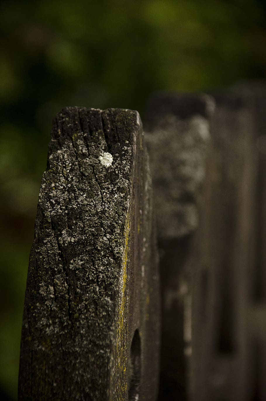træ, materiale, teksturer, baggrund, overflade, mønster, gammel, struktur, bestyrelse, naturlig, træ-, panel, brutto, natur, tømmer, indretning, tæt på, ingen mennesker, gravsten, historie, solid, fokus på forgrunden, fortiden, dag, selektiv fokusering, arkitektur, sten-, stenmateriale, sten - objekt, grav, forvitret, bygget struktur, udendørs, gamle civilisation, 4K