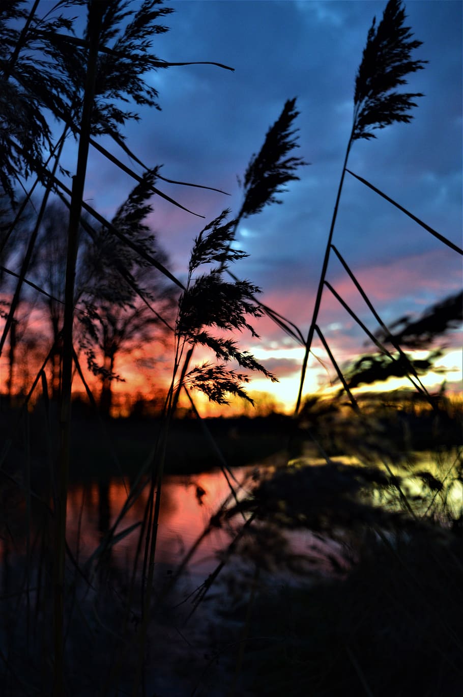 Niederlande, Eibergen, Korn, Sonnenuntergang, Himmel, Luft, Pflanze, wolke - himmel, Schönheit in der Natur, Baum, Silhouette, Ruhe, Szenen - Natur, ruhige Szene, Natur, keine Leute, Wasser, Nicht-städtische Szene, orange Farbe, Wachstum, Dramatischer Himmel, Dämmerung, draußen, romantischer Himmel, 5K