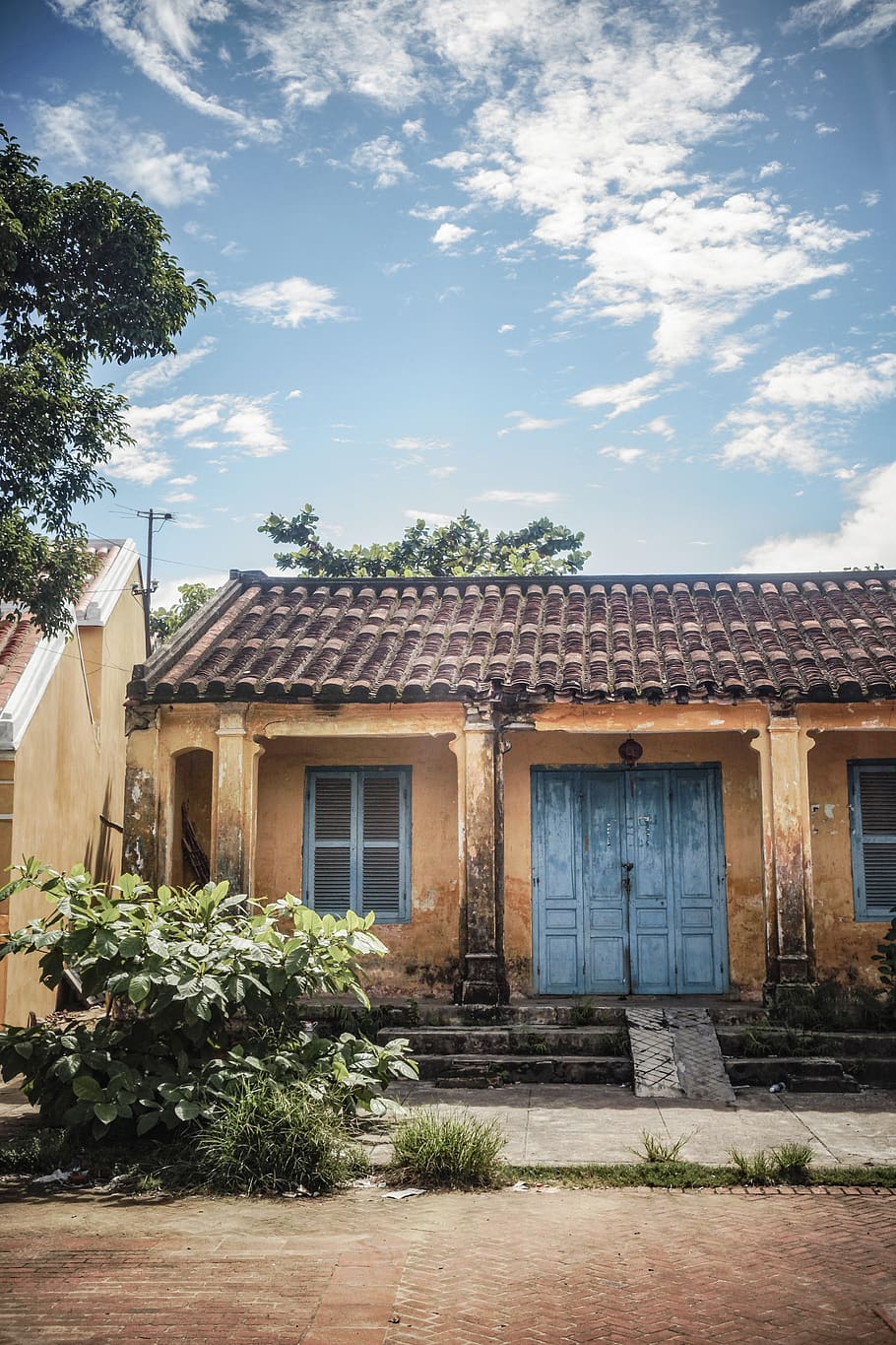 portes tancades, sostre, porta, sostre de teula, jar, planta, planta en test, ceràmica, gerro, a l'aire lliure, llosa, porxo, jardinera, edifici, habitatge, casa, casa de camp, maó, herbes, pati, cortina, estructura construïda, exterior de l'edifici, arquitectura, cel, arbre, núvol - cel, naturalesa, barri residencial, dia, cap gent, finestra, creixement, llum solar, vell, color verd, ciutat, 5K