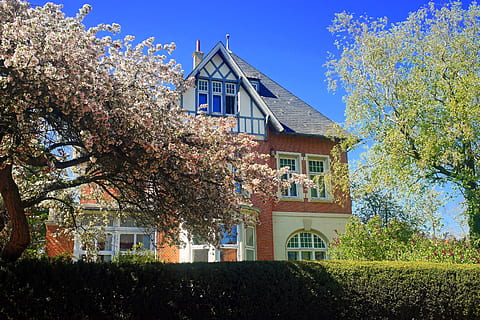 vila, ciutat, Pasqua, primavera, frisia est, buit, arquitectura, façana, història, edifici, vell, atracció, llocs d'interès, centre històric, exterior de l'edifici, estructura construïda, planta, arbre, naturalesa, creixement, dia, casa, cel, barri residencial, flor, a l'aire lliure, llum solar, planta amb flors, cap gent, blau, bellesa a la natura, finestra, flor de cirerer, 5K, CC0, domini públic, lliure de regalies