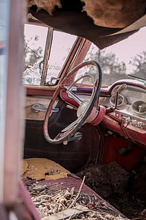 Oldtimer, alt, Auto, Rost, Antiquität, verrostet, zerfallen, rot, Transportmittel, Transport, Landfahrzeug, Tag, verlassen, rostig, Metall, keine Leute, beschädigt, draußen, Nahansicht, obsolet, heruntergewirtschaftet, Fahrzeuginnenraum, Ablehnen, Verschlechterung, Lenkrad, Reise, Rad, Schrottplatz, 5K, CC0, gemeinfrei, lizenzfrei