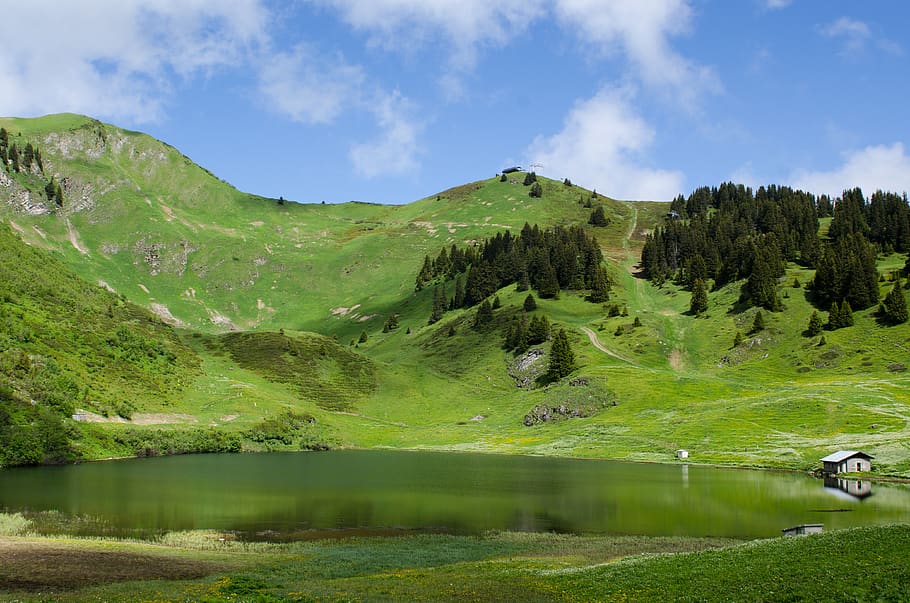 suïssa, ormont-dessous, lac des chavonnes, arbres, llac, cel blau, casa antiga, muntanyes, aigua, escenics - natura, muntanya, bellesa a la natura, tranquil·litat, escena tranquil·la, planta, color verd, arbre, cel, escena no urbana, dia, herba, naturalesa, núvol - cel, medi ambient, Serra, cap gent, a l'aire lliure, pi, arbre de coníferes, 4K
