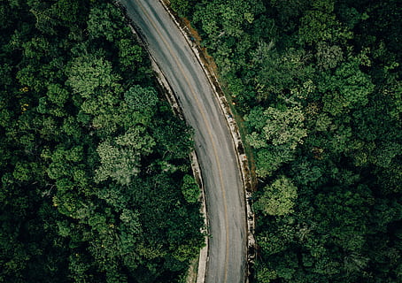 tom motorvej, plante, grøn farve, træ, ingen mennesker, vækst, dag, høj vinkel visning, natur, jord, Skov, luftfoto, transportmidler, skønhed i naturen, udendørs, ro, vej, løv, miljø, frodig løv, ikke-urbane scene, 4K, CC0, offentligt domæne, royaltyfrie