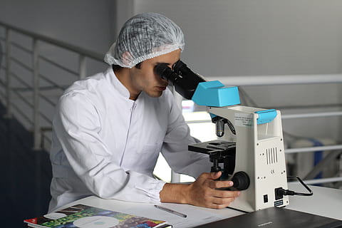 vista dell'uomo, bianca, microscopio, umano, persona, persone, florianopolis, brasile, scienza, connettore, dispositivo elettrico, spina, adattatore, laboratorio, maschio, uomo, medico, passaggi, cappello, corrimano, una persona, tecnologia, in casa, capi di abbigliamento, occupazione, dalla vita in su, assistenza sanitaria e medicina, scienziato, strumento ottico, ricerca, formazione scolastica, persone reali, detenzione, concentrazione, uomini, attrezzatura da laboratorio, Camice da laboratorio, esperimento scientifico, analizzando, 5K, CC0, dominio pubblico, privo di copyright