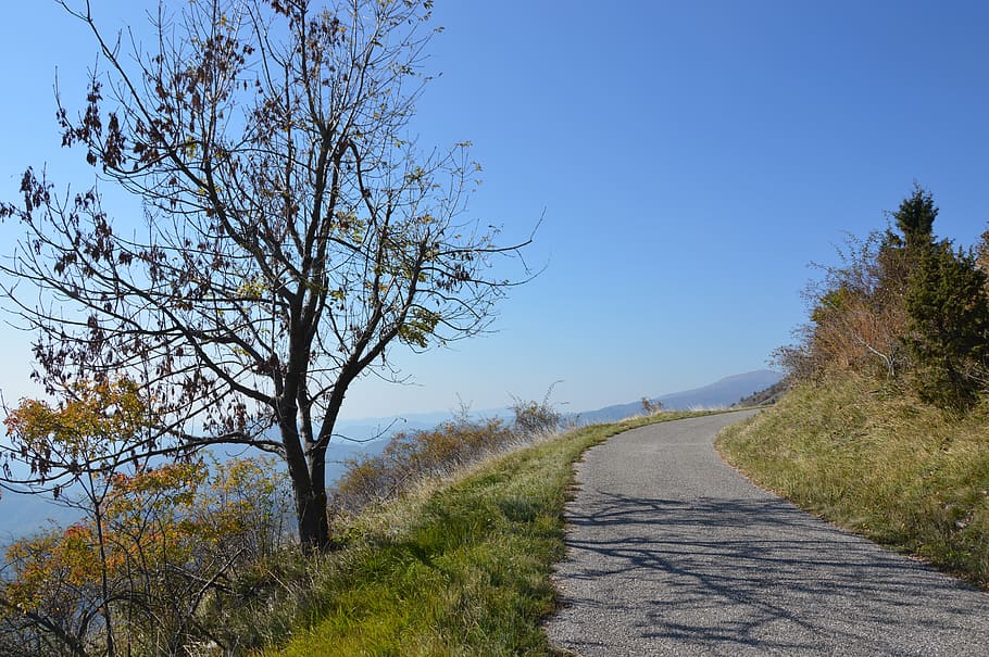 friuli, hora, cesta, les, Příroda, turistika, hory, krajina, listy, podzim, Itálie, rostlin, rostlina, cesta vpřed, strom, směr, klid, nebe, klidné scény, silnice, krása v přírodě, čisté nebe, pěšina, den, nikdo, scenics - příroda, přeprava, mimoměstské scény, růst, slunečního světla, perspektiva, venku, dlouho, 5K