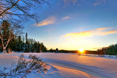 solnedgang, vinter, sne, kold, gel, træer, birk, gran, tusmørke, farver, panorama, sol, natur, himmel, Québec, Canada, kold temperatur, træ, plante, skønhed i naturen, sky - himmel, scenics - natur, ro, dækker, jord, Frosset, ingen mennesker, rolig scene, Mark, udendørs, 5K, CC0, offentligt domæne, royaltyfrie