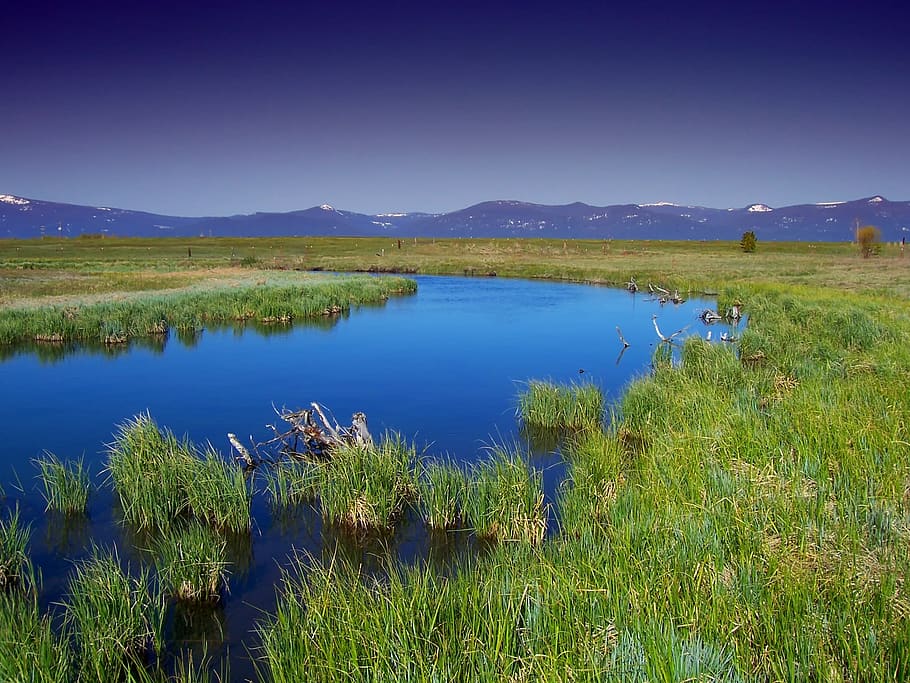 Grün, Gras, Karosserie, Wasser, Landschaft, Sumpf, Gebirge, Berge, Natur, Pflanze, Szenen - Natur, See, Ruhe, Berg, Umgebung, Himmel, ruhige Szene, Schönheit in der Natur, Land, keine Leute, Nicht-städtische Szene, grüne Farbe, ländliche Szene, draußen, 2K