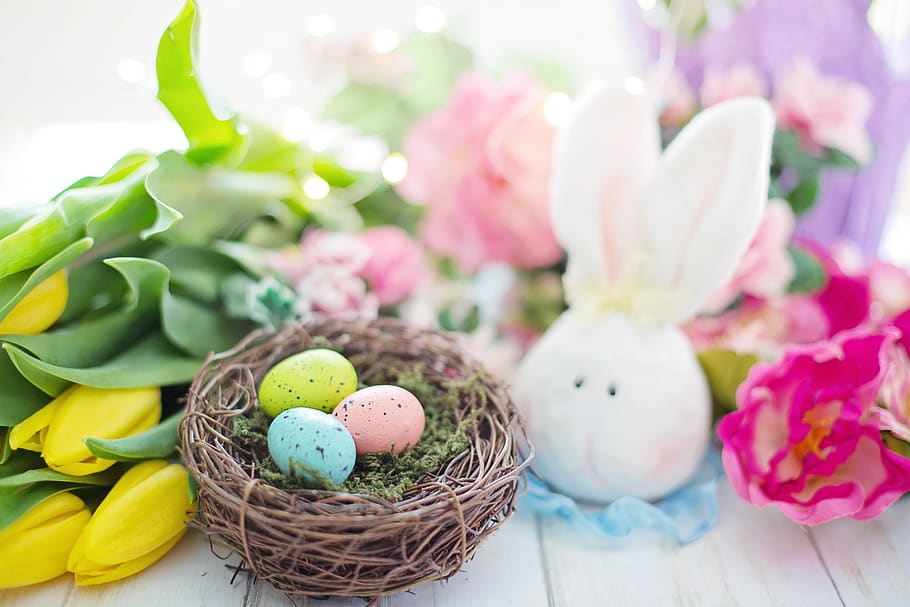 påske, rede, egg, blomster, fargerik, vår, past, pastell, stilleben, påskeegg, feiring, multi farget, mat, ferie, kurv, mat og Drikke, ingen folk, dyrefest, ferie - arrangement, våren, rosa farge, dekorasjon, natur, dyr egg, utendørs, 5K