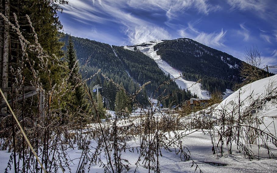 verd, muntanya, cobert, neu, cel blau, cel clar, núvols, fred, durant el dia, bosc, congelat, gel, paisatge, cim de muntanya, muntanyes, Resort, escènic, temporada, estació d'esquí, arbres, fotografia gran angular, boscos, temperatura de fred, hivern, arbre, escenics - natura, planta, bellesa a la natura, escena tranquil·la, medi ambient, tranquil·litat, cel, naturalesa, cap gent, escena no urbana, núvol - cel, terra, muntanya nevada, pi, arbre de coníferes, 1080P