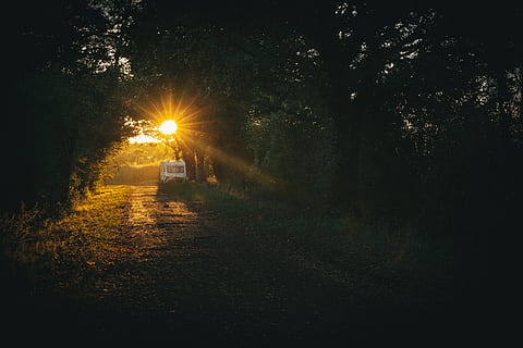 luz solar, retroiluminado, Sombrio, alvorecer, meio Ambiente, Dom, nascer do sol, por do sol, arvores, árvore, plantar, natureza, raio de Sol, terra, tranquilidade, direção, crescimento, o caminho a seguir, iluminado, transporte, ao ar livre, estilos de vida, cena tranquila, reflexo de lente, beleza na natureza, céu, 5K, CC0, domínio público, royalty free