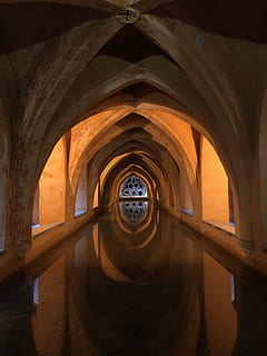 paret pintada de blanc, passadís, sòls, cripta, pis, fusta, túnel, fusta dura, masmorra, a l'interior, peix de peix, edifici, passeig marítim, pont, bunker, fusta contraxapada, llosa, escala, esfera, barana, arc, arquitectura, estructura construïda, cap gent, aigua, el passat, columna arquitectònica, història, naturalesa, perspectiva decreixent, religió, dia, el camí a seguir, direcció, reflexió, sostre, bé, 4K, CC0, domini públic, lliure de regalies