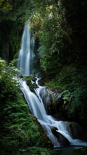 cachoeiras entre floresta, cascata, rio, agua, ao ar livre, árvore, natureza, floresta, angra, corrente, terra, vegetação, floresta tropical, plantar, flora, fai - parco villa gregoriana, tivoli, Itália, samambaia, Exposição longa, selva, scenics - natureza, beleza na natureza, água corrente, movimento, movimento borrado, Rocha, cor verde, ninguém, meio Ambiente, rock - objeto, sólido, fluindo, poder na natureza, queda d'água, 5K, CC0, domínio público, royalty free