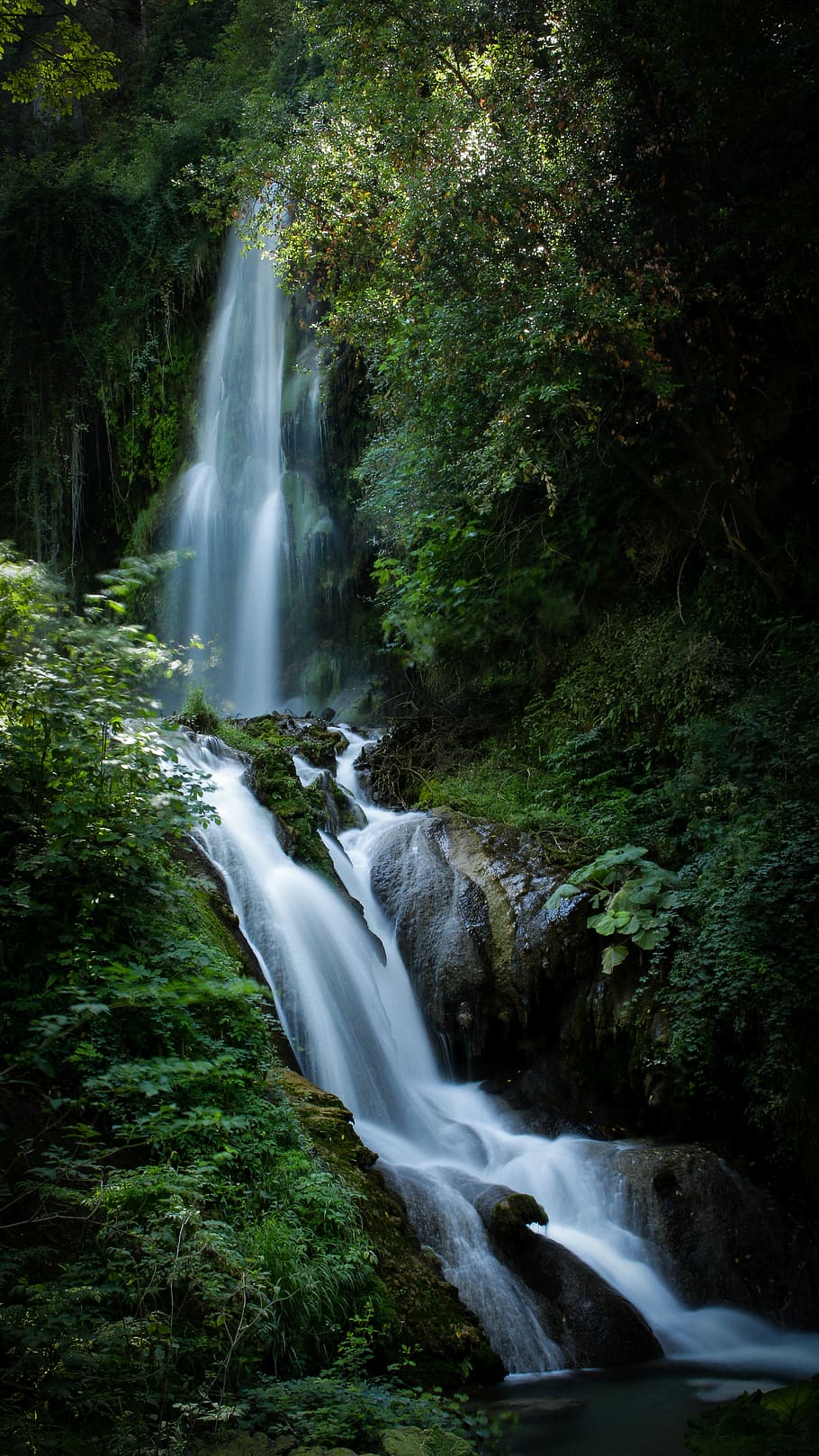 cascades entre bosc, cascada, riu, aigua, a l'aire lliure, arbre, naturalesa, bosc, rierol, corrent, terra, vegetació, selva tropical, planta, flora, fai - parco villa gregoriana, tivoli, Itàlia, falguera, exposició llarga, jungla, escenics - natura, bellesa a la natura, aigua que flueix, moviment, moviment borrós, rock, color verd, cap gent, medi ambient, rock - object, sòlid, que flueix, poder a la natura, caient aigua, 5K