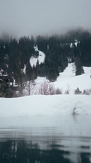 ledové hory, strom, rostlina, jedle, abies, tannheim, Rakousko, Příroda, venku, sníh, jehličnatý strom, borovice, hora, zimní, zrcadlo, plavat, Studený, švýcarsko, bazén, fod, mraky, studená teplota, klid, scenics - příroda, krása v přírodě, jezero, voda, klidné scény, nikdo, nebe, odraz, den, mlha, architektura, 5K, CC0, veřejná doména, bez autorských práv