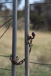 gate, chain, latch, closed, shut, access, metal, security, fence, safety, boundary, barrier, protection, focus on foreground, day, no people, close-up, outdoors, nature, wire, land, barbed wire, rusty, field, 5K, CC0, public domain, royalty free