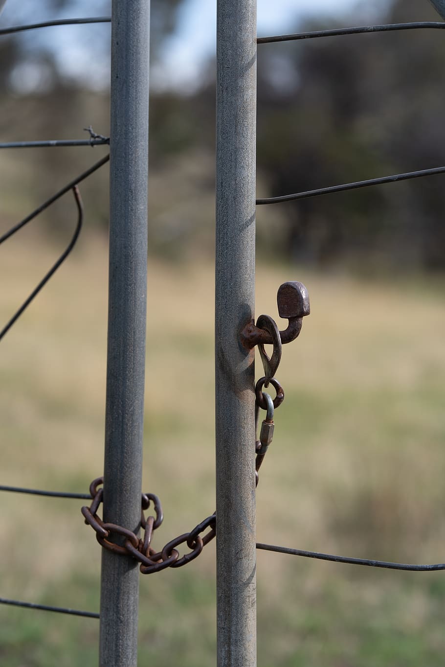 portón, cadena, pestillo, cerrado, cerrar, acceso, metal, seguridad, cerca, la seguridad, límite, barrera, proteccion, centrarse en primer plano, día, nadie, de cerca, al aire libre, naturaleza, cable, tierra, alambre de espino, oxidado, campo, 5K