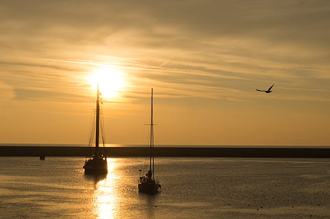 to, båd, ocean, gylden, tid, baggrundsbelyst, strand, både, skyer, daggry, aften, flyvende, lys, afspejling, sejle, sejlbåd, hav, marinemaleri, himmel, sol, solopgang, solnedgang, vand, fartøjer, vind, scenics - natur, skønhed i naturen, transportmidler, nautiske fartøj, orange farve, sollys, sky - himmel, silhuet, natur, rolig scene, transportform, fugl, ro, hvirveldyr, ingen mennesker, horisont over vand, udendørs, linseflare, lyse, 2K, CC0, offentligt domæne, royaltyfrie